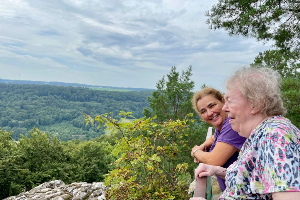 panorama de forêt